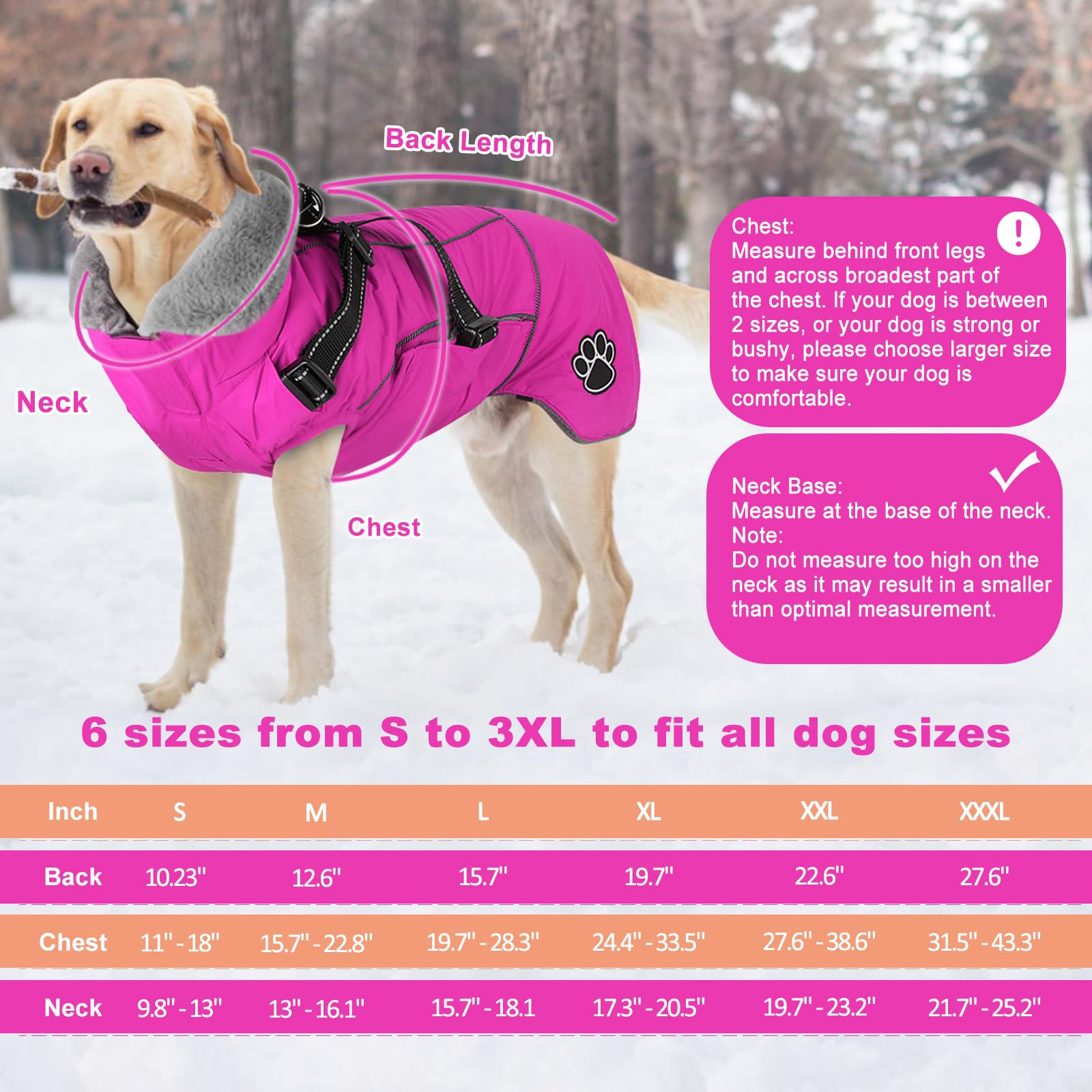 Doglay chaqueta reflectante con visibilidad en dorso y cuello