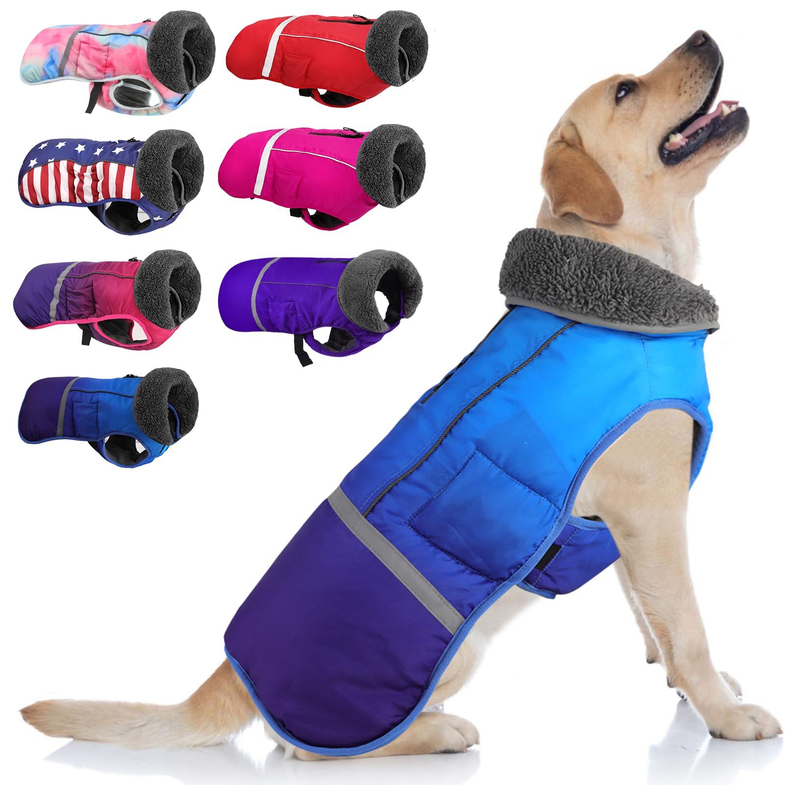 Doglay chaqueta invierno perro completa para paseos diarios