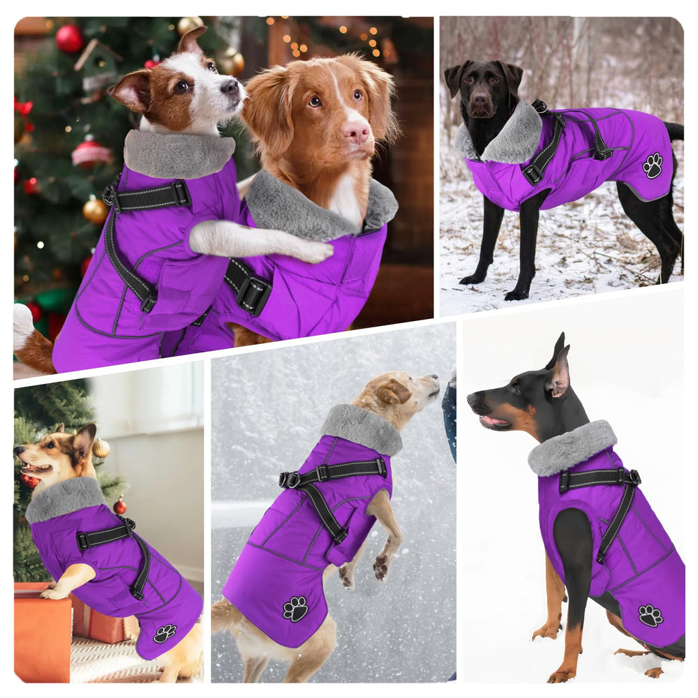 Doglay chaqueta con forro cálido para inviernos fríos