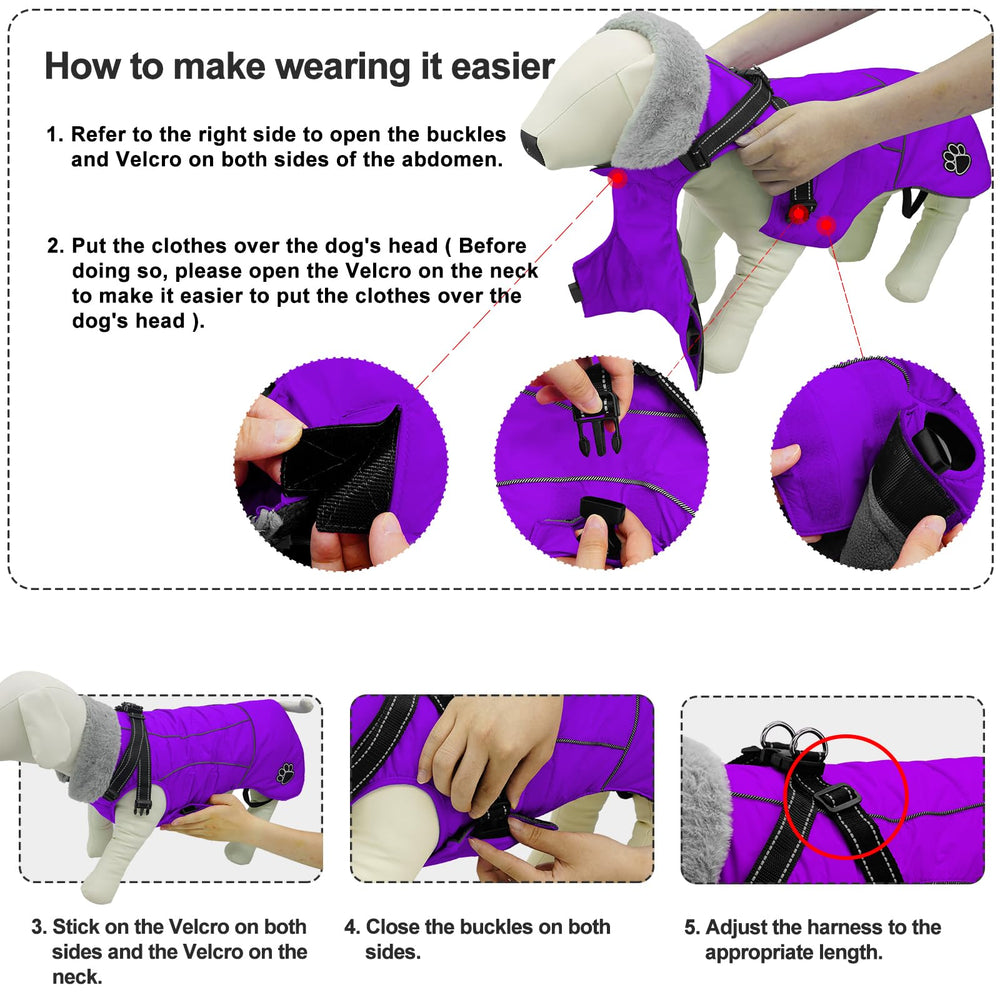 Doglay chaqueta ideal para paseos nocturnos y visibilidad