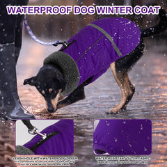 Doglay cremallera doble impermeable facilita abrochar