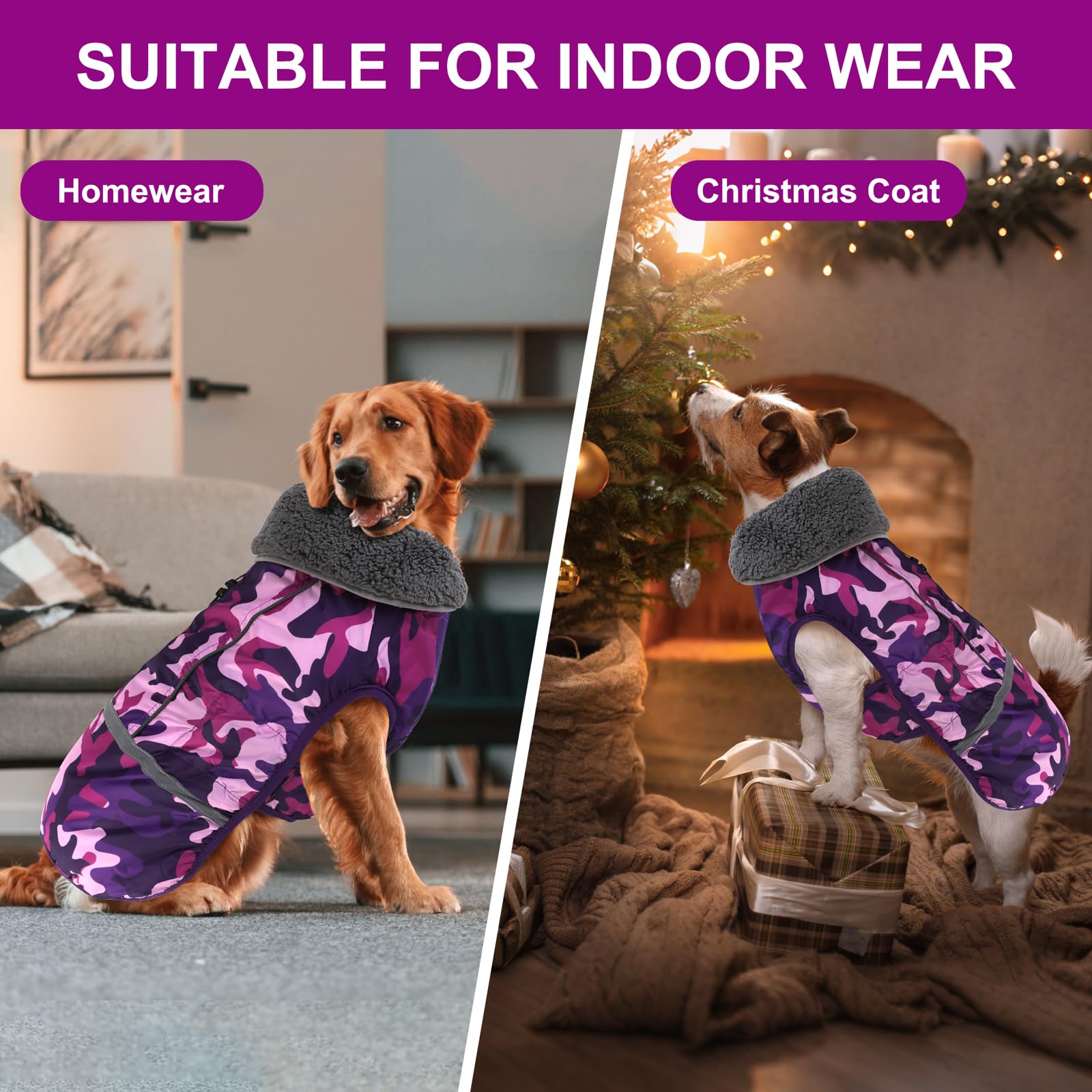 Doglay cremallera impermeable de doble cierre facilita la sujeción sin irritar el pelaje.