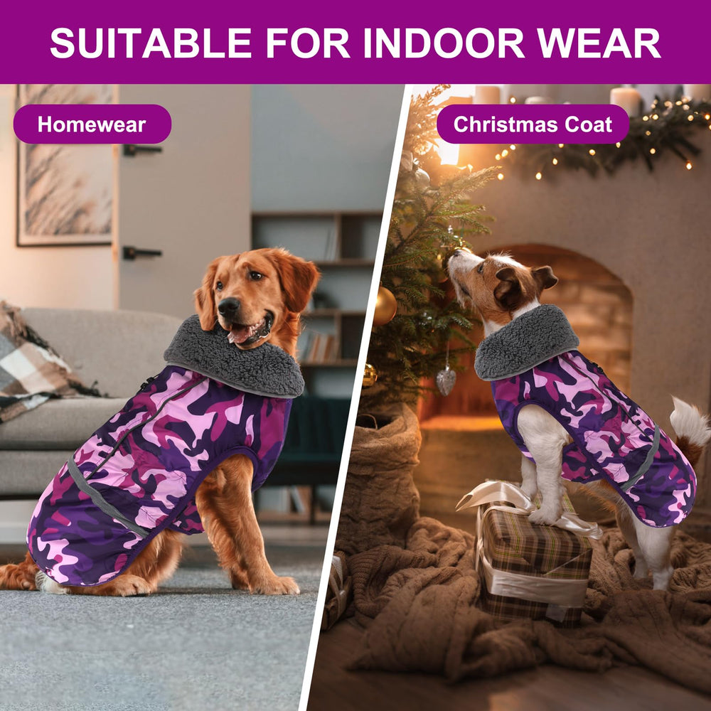 Doglay cremallera impermeable de doble cierre facilita la sujeción sin irritar el pelaje.