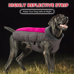 Doglay cremallera impermeable doble facilita vestirse y mantiene al perro seco