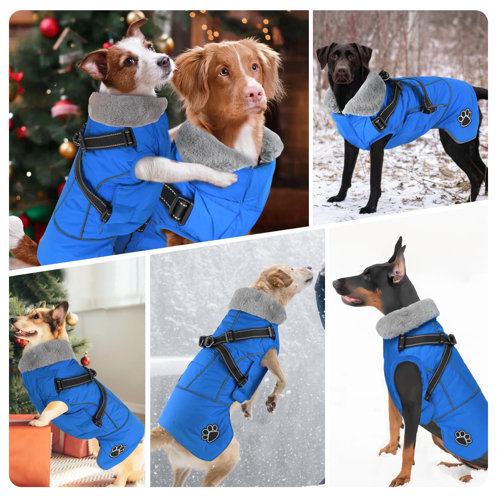 Doglay cuello cálido y forro denso para mayor confort en clima frío.