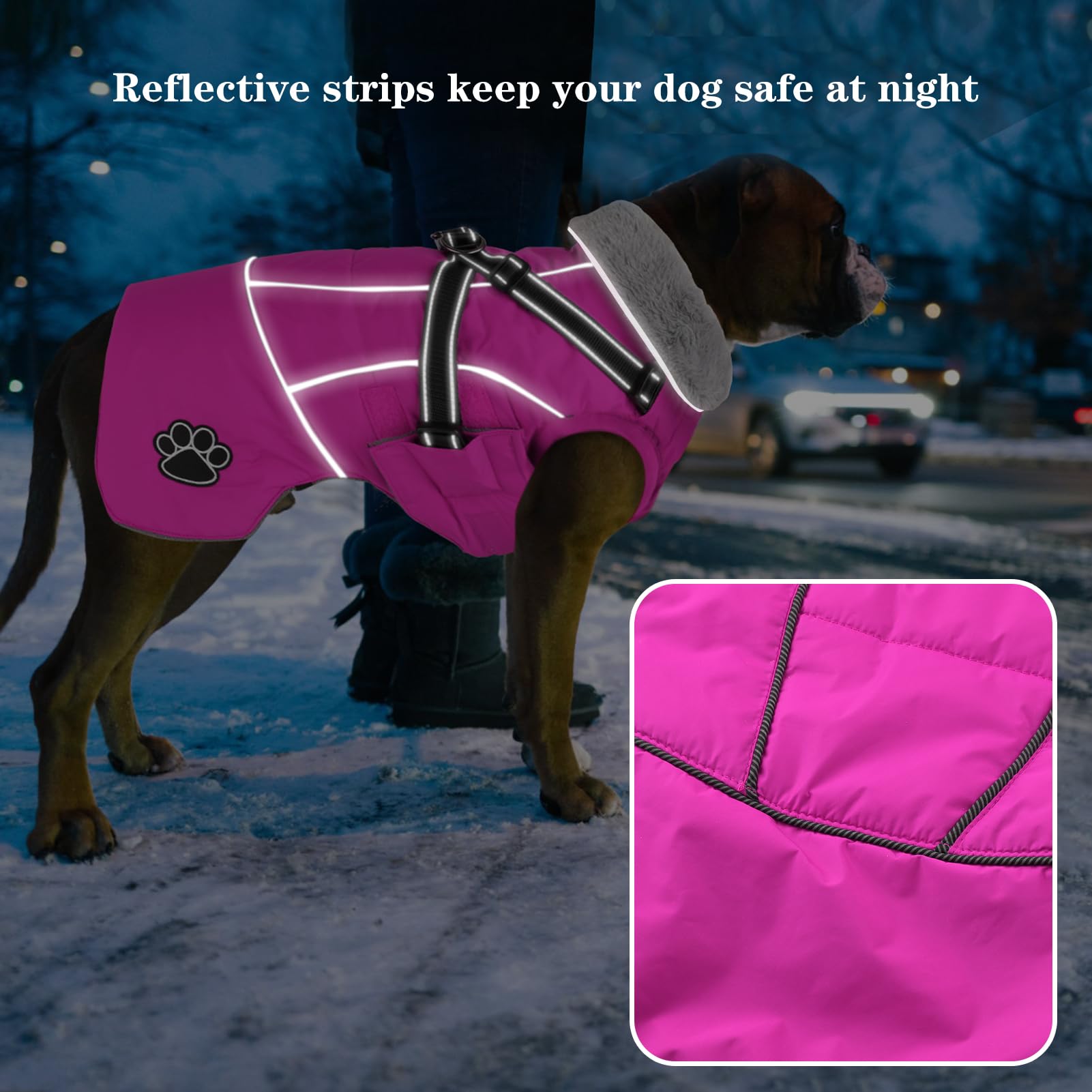 Doglay diseño con tallas ajustables para diferentes razas