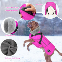 Doglay prenda impermeable para perro contra lluvia y viento