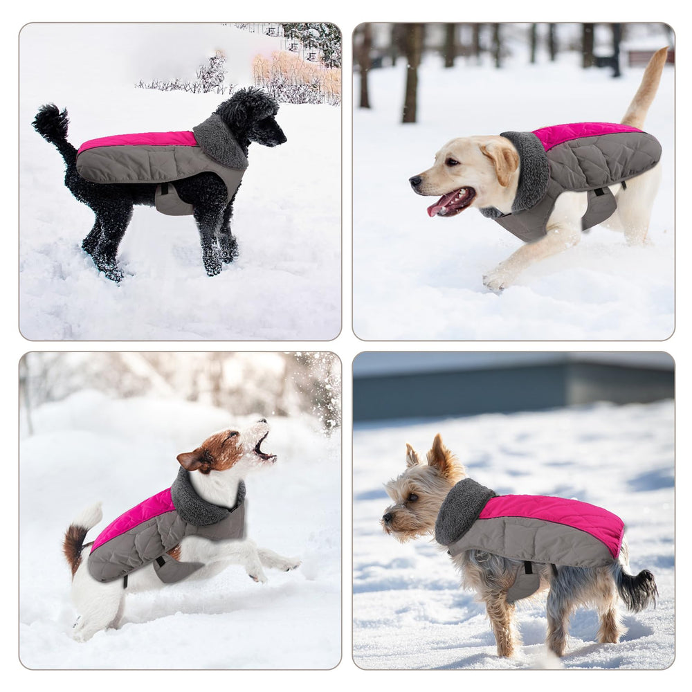 Doglay interior forro polar calido ofrece confort durante paseos