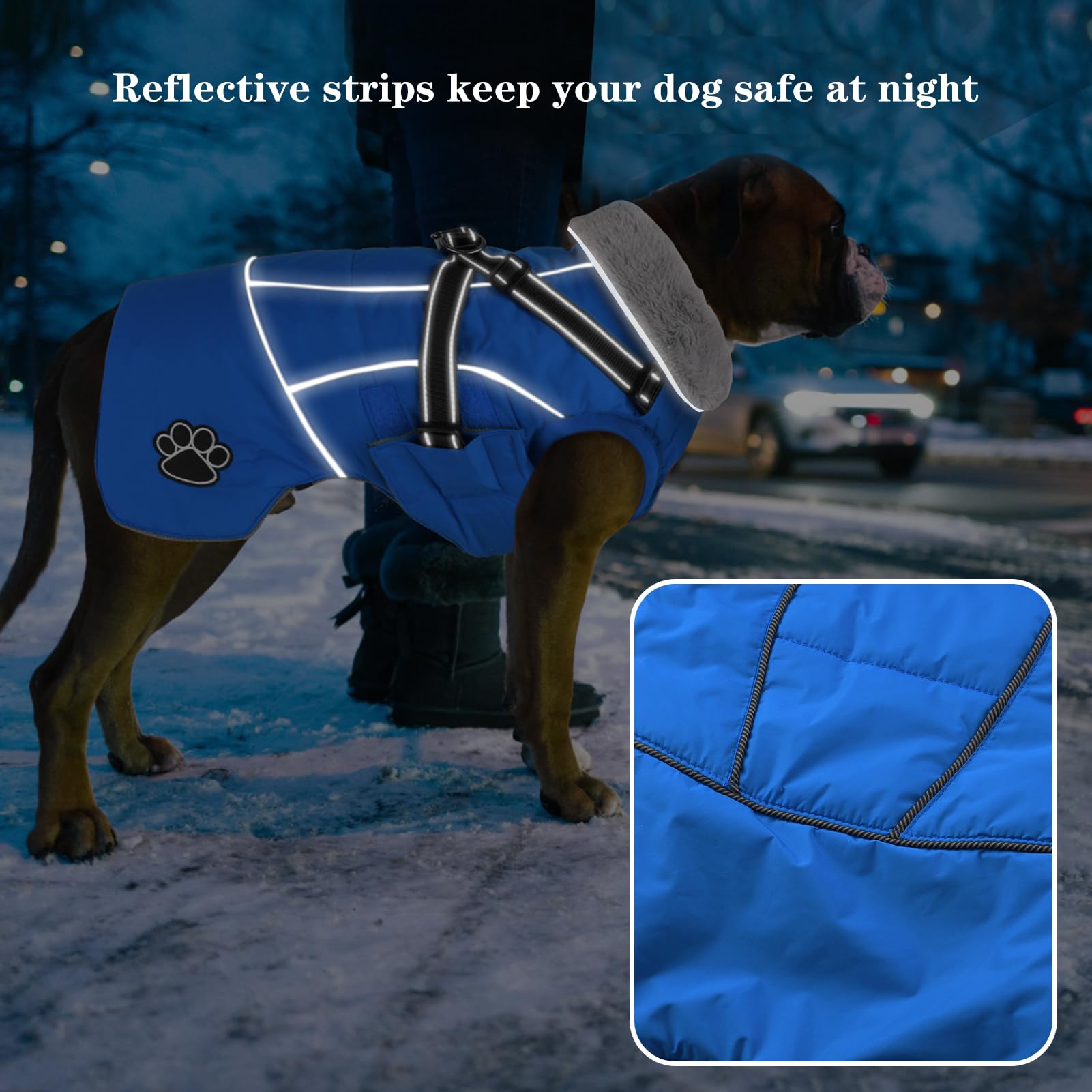 Doglay disponible en seis tallas para adaptarse a perros pequeños, medianos y grandes.