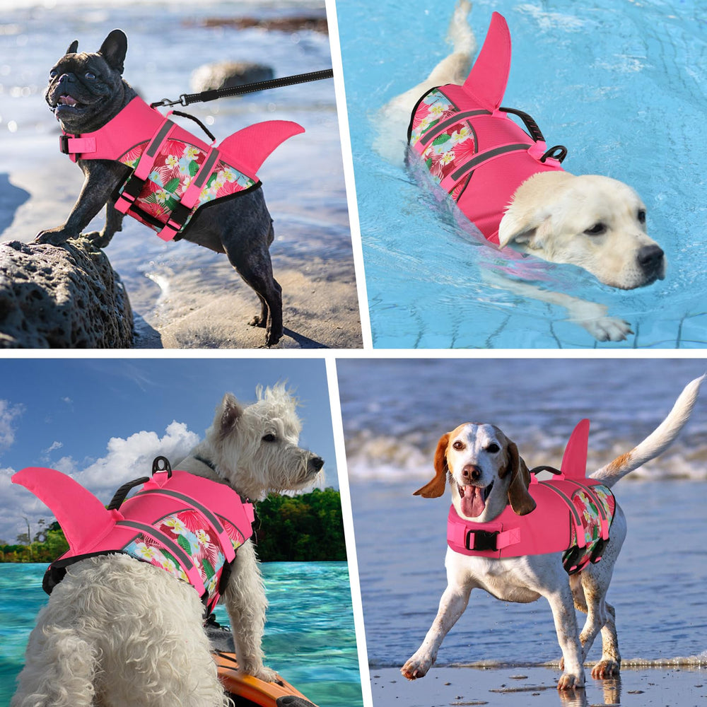 Doglay uso en agua y playa ideal para nadar con seguridad