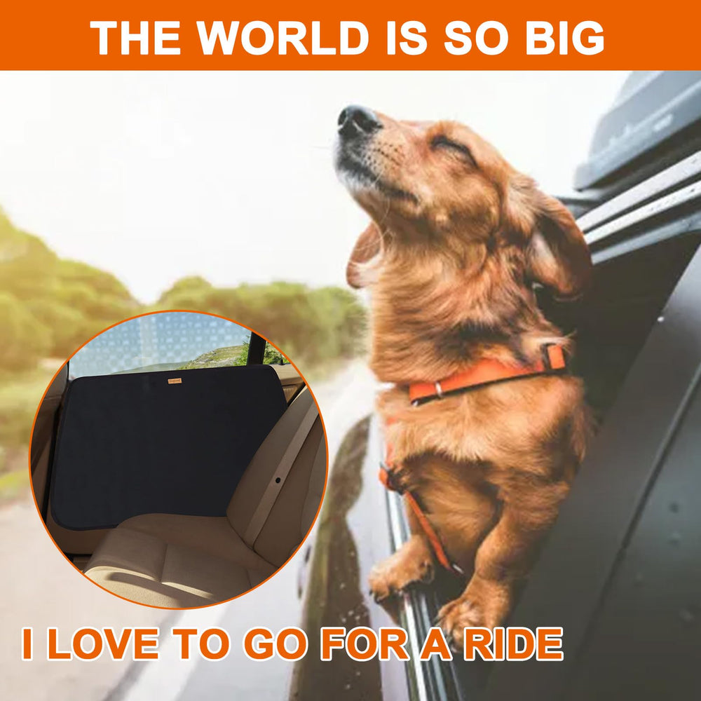 DogLemi instalación rápida con velcro evita marcas en la carrocería.