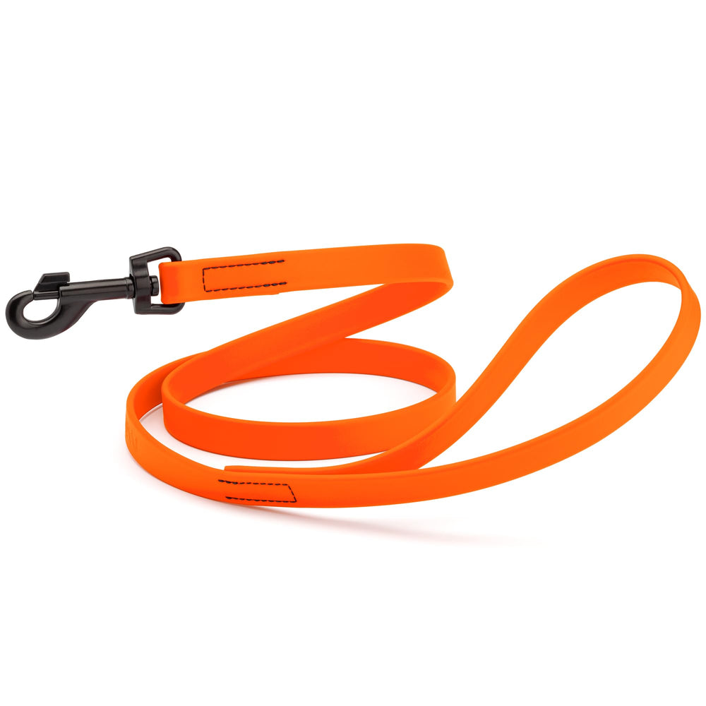 Dogline Biothane correa impermeable de 4 pies naranja cazador para paseos limpios