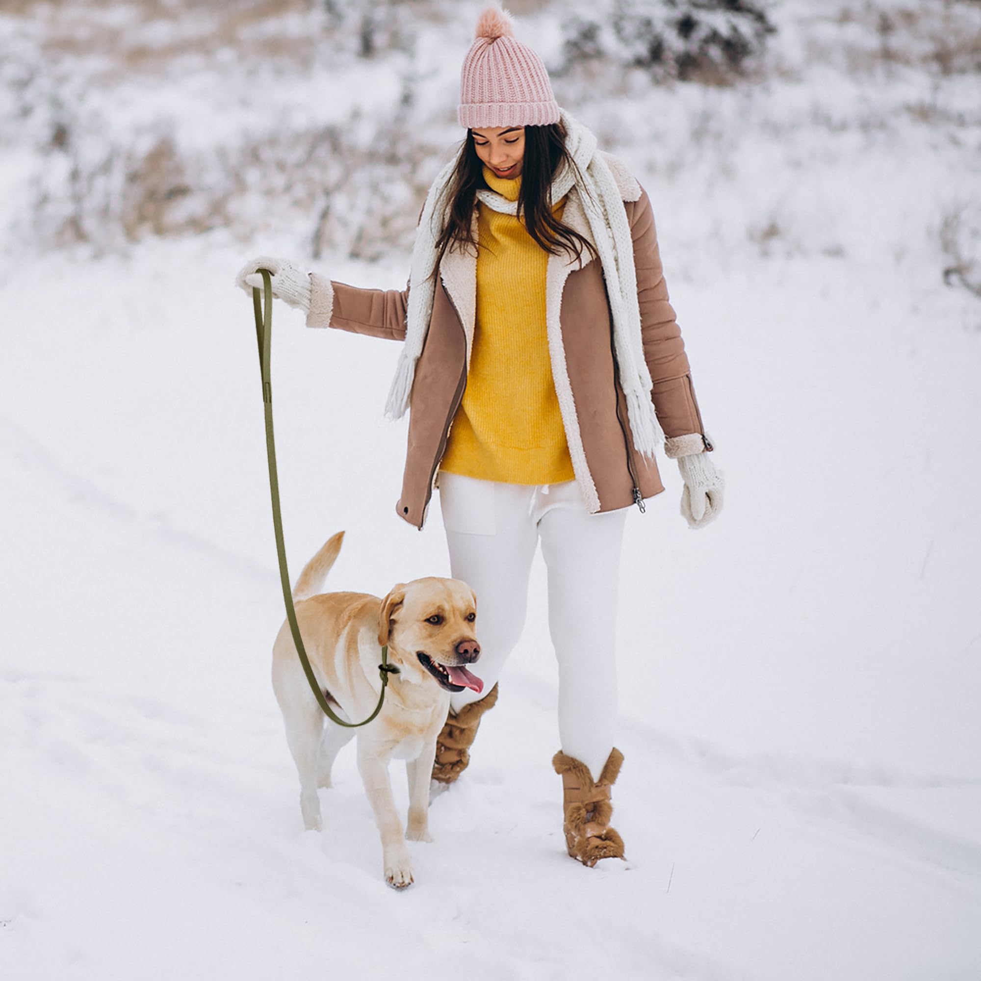 Dogline Biothane Slip Leash adecuada para perros de todos los tamaños