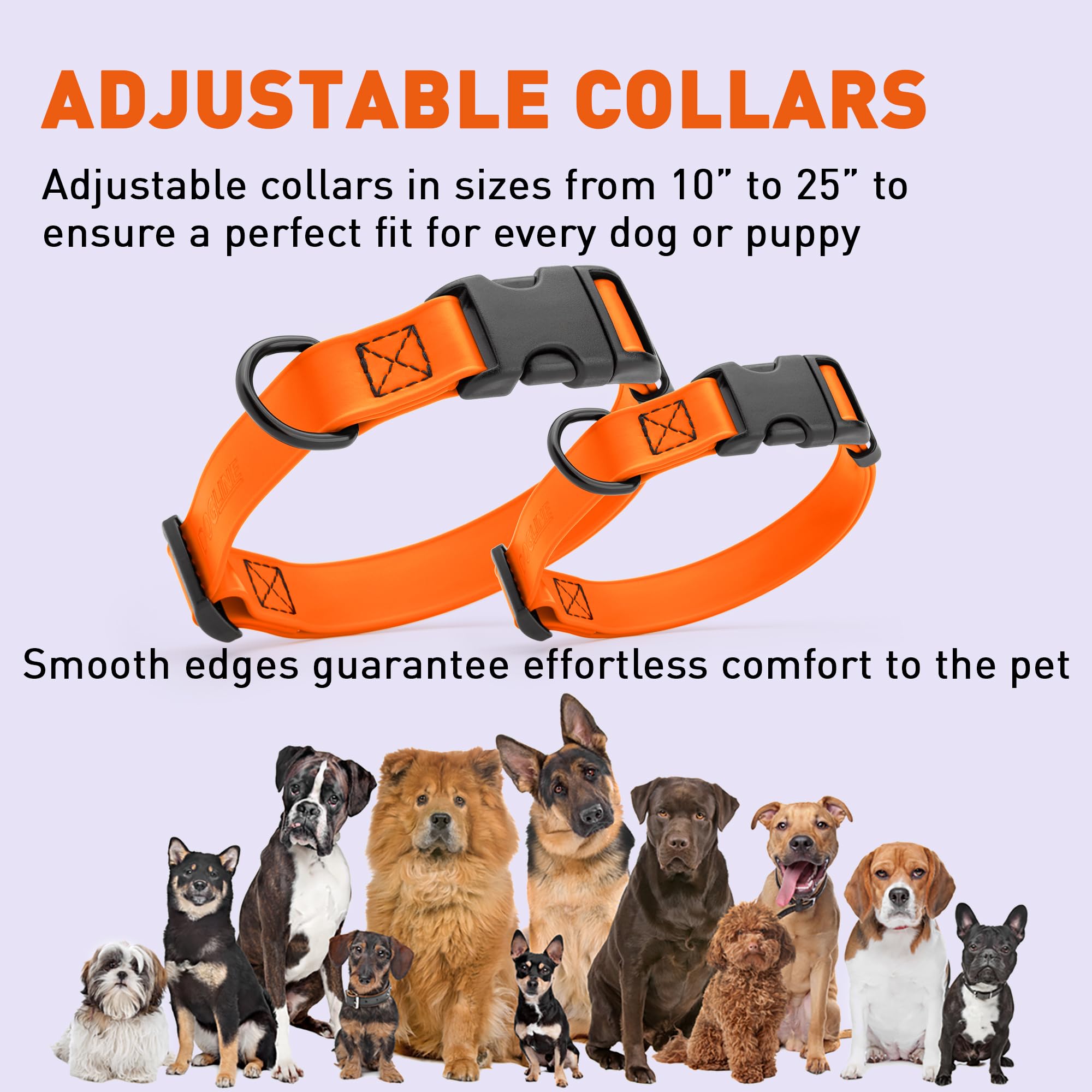Collar Dogline Biothane con hebilla rápida para uso diario.