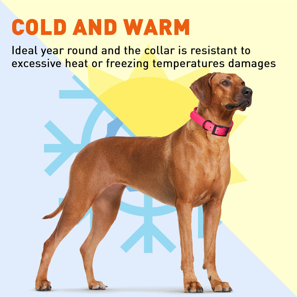 Dogline Biothane Rosa: ajuste seguro en ocho tallas para diferentes perros.
