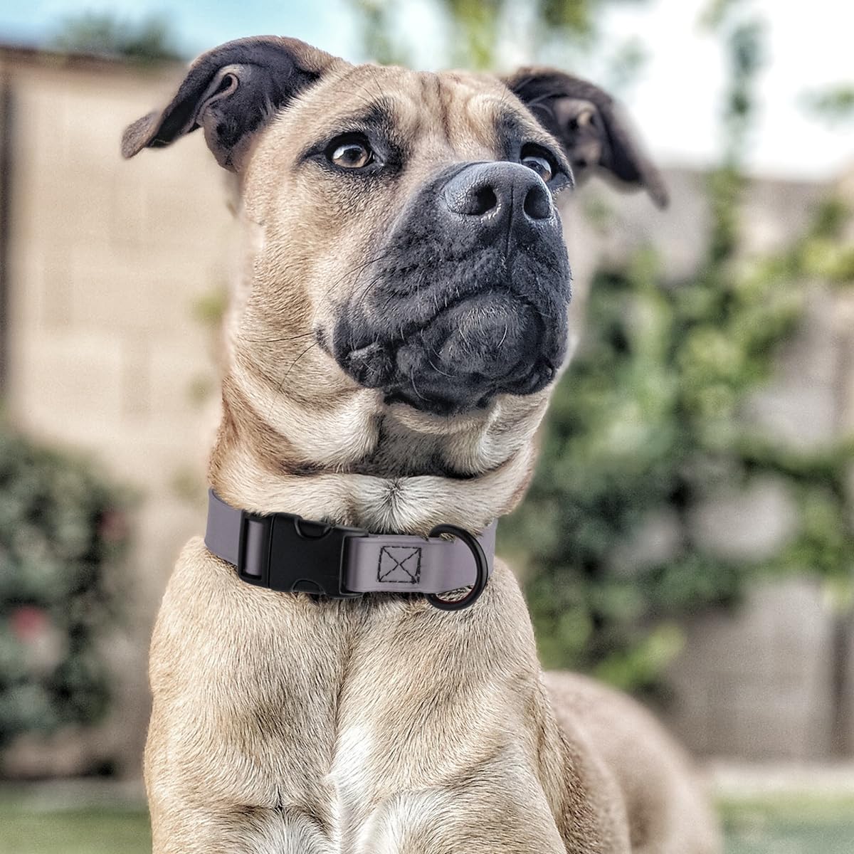 Collar Dogline Biothane fácil de limpiar con paño húmedo