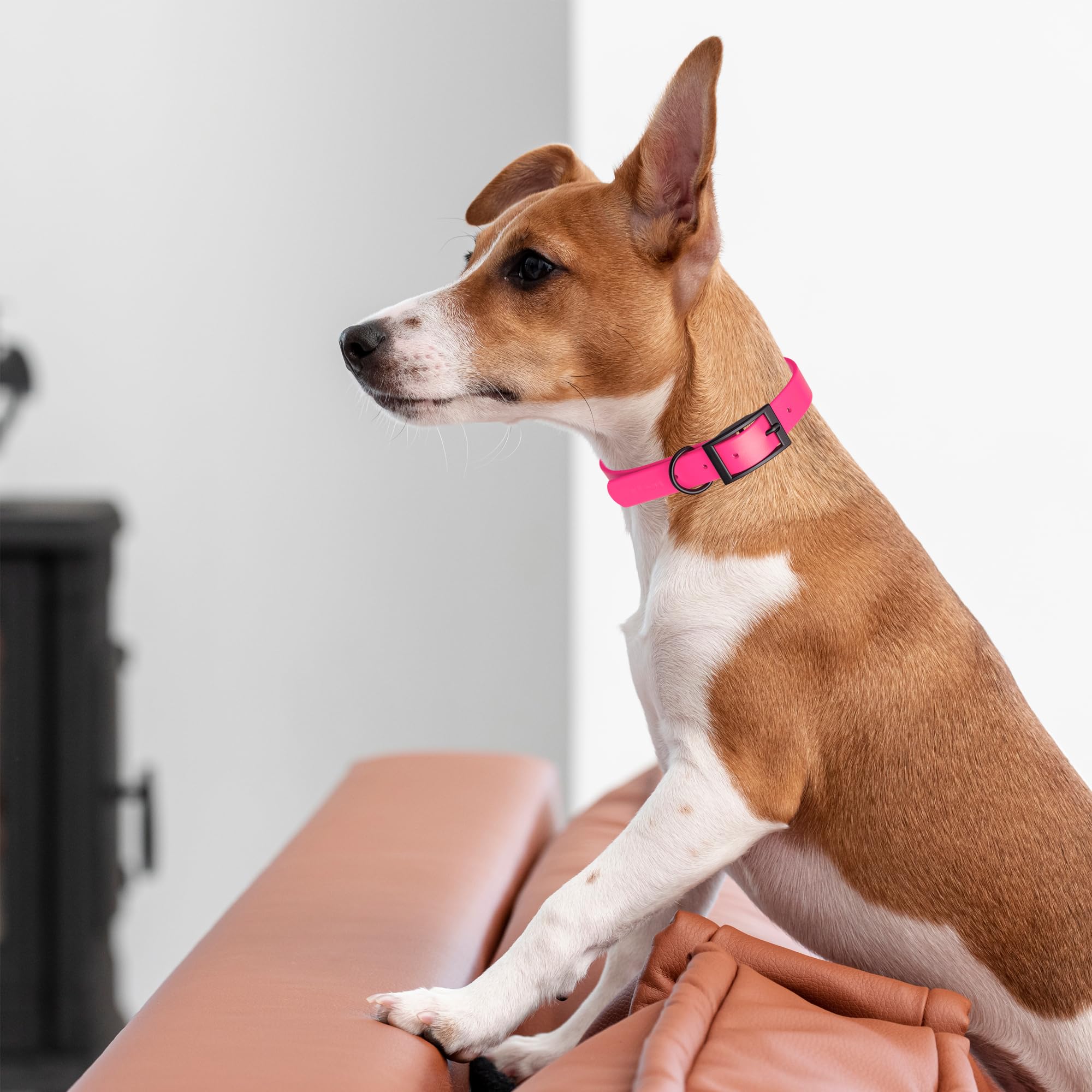 Dogline Biothane Rosa: herraje negro no reflectante aporta estilo práctico.