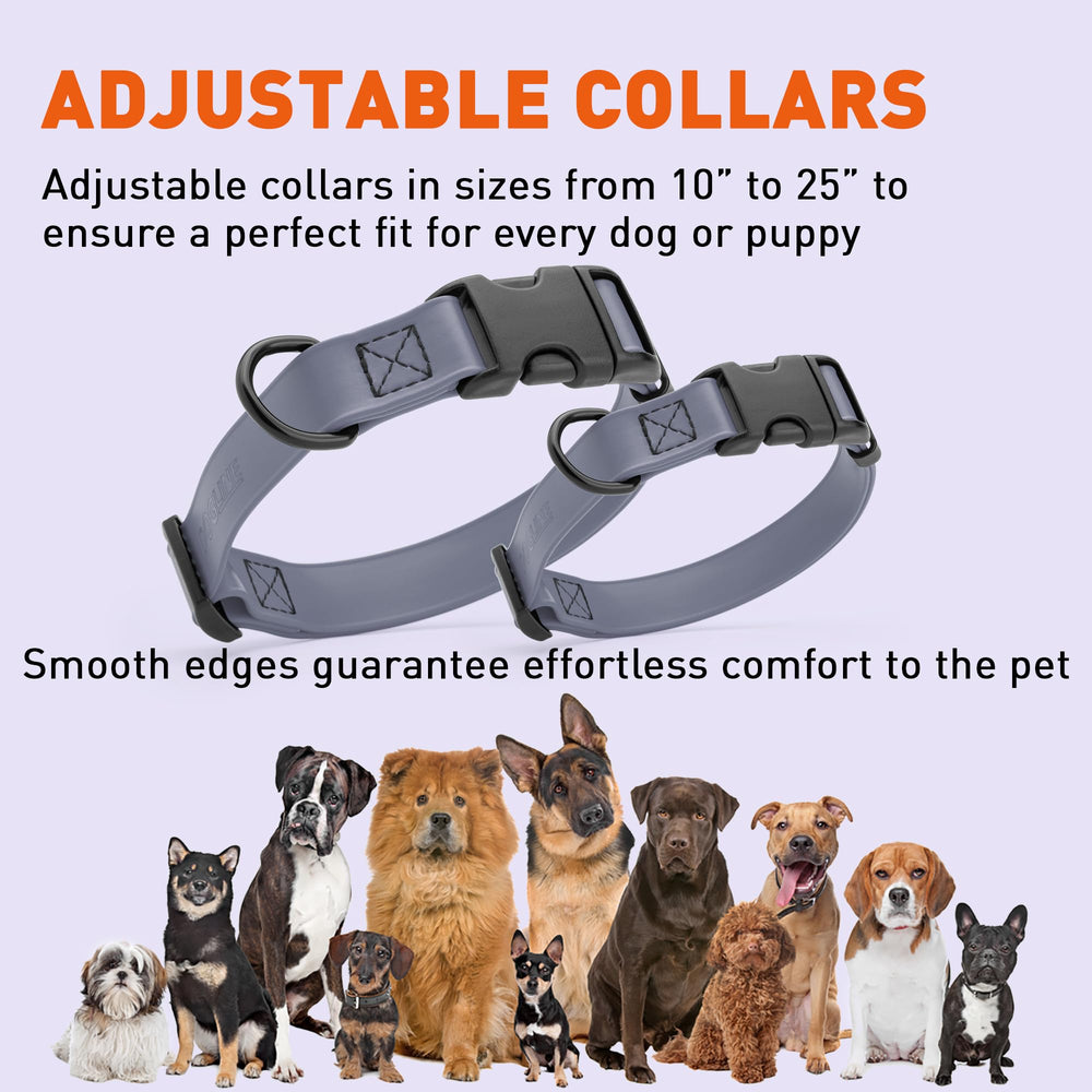 Collar Dogline Biothane con tallas para perros pequeños