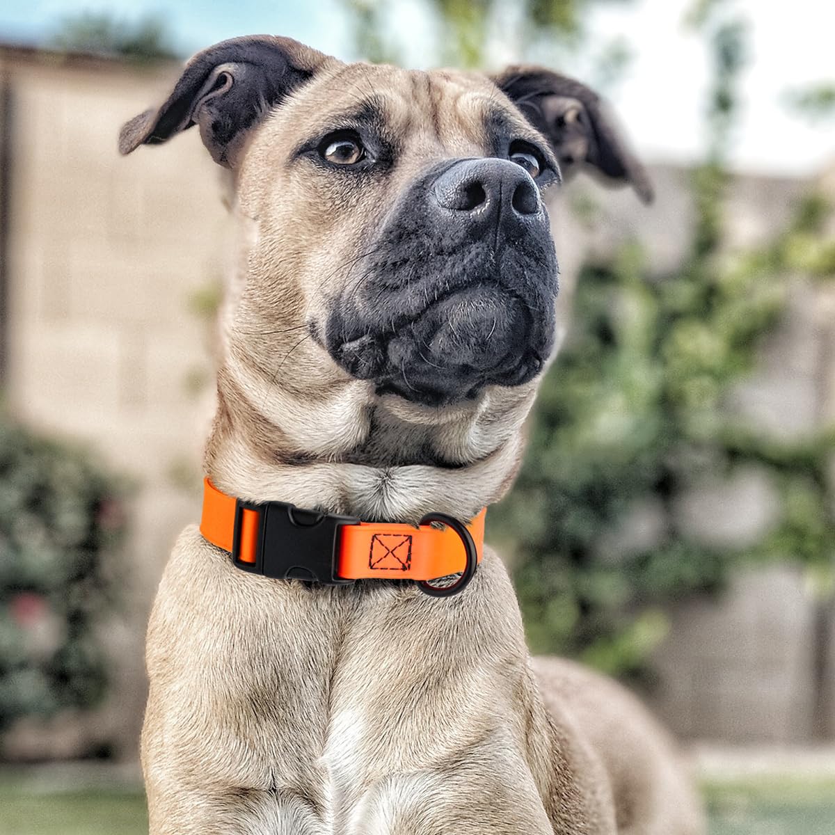 Collar Dogline Biothane de 1 pulgada para perros grandes.