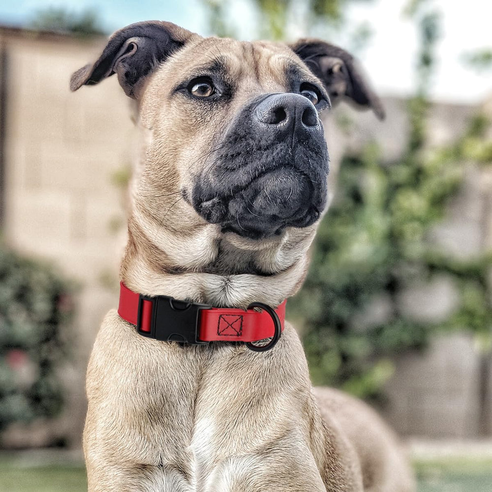 Dogline collar tres anchos para un ajuste cómodo.
