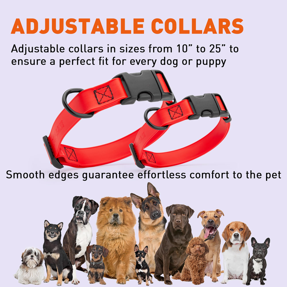 Dogline collar tres tallas para diferentes perros.