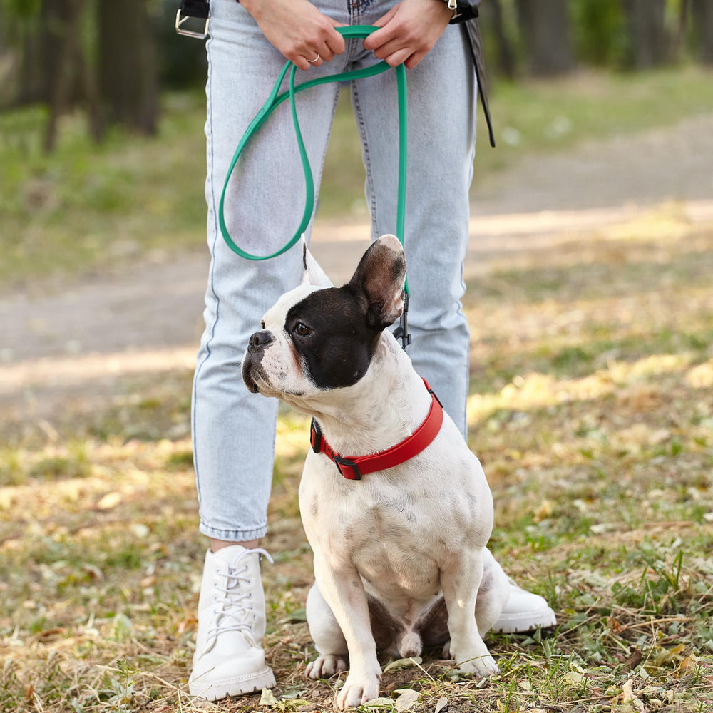 Dogline Biothane, duradera para perros de diferentes tamaños gracias a su construcción.