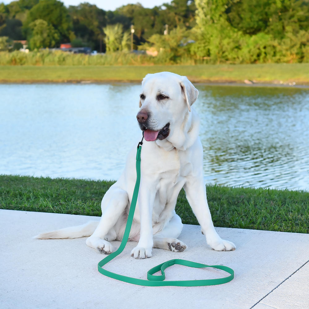 Dogline Biothane, limpieza rápida con paño para mantenerla como nueva.
