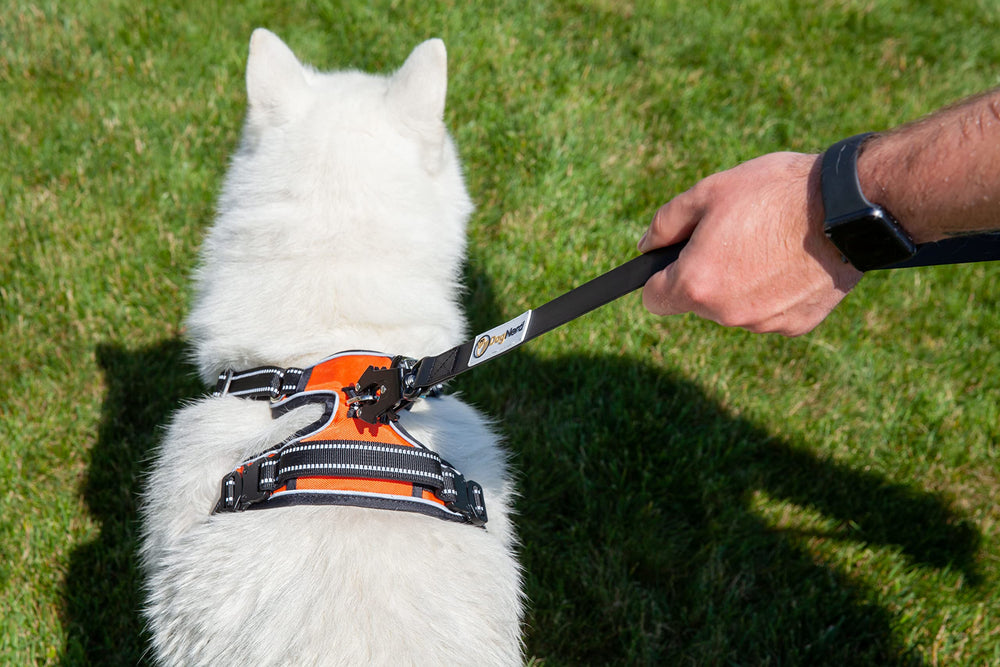 DogNerd asa G-Clip integrada para mejor control durante el paseo.