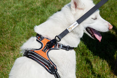 DogNerd mosquetón de liberación rápida con capacidad de 2204 libras para seguridad.