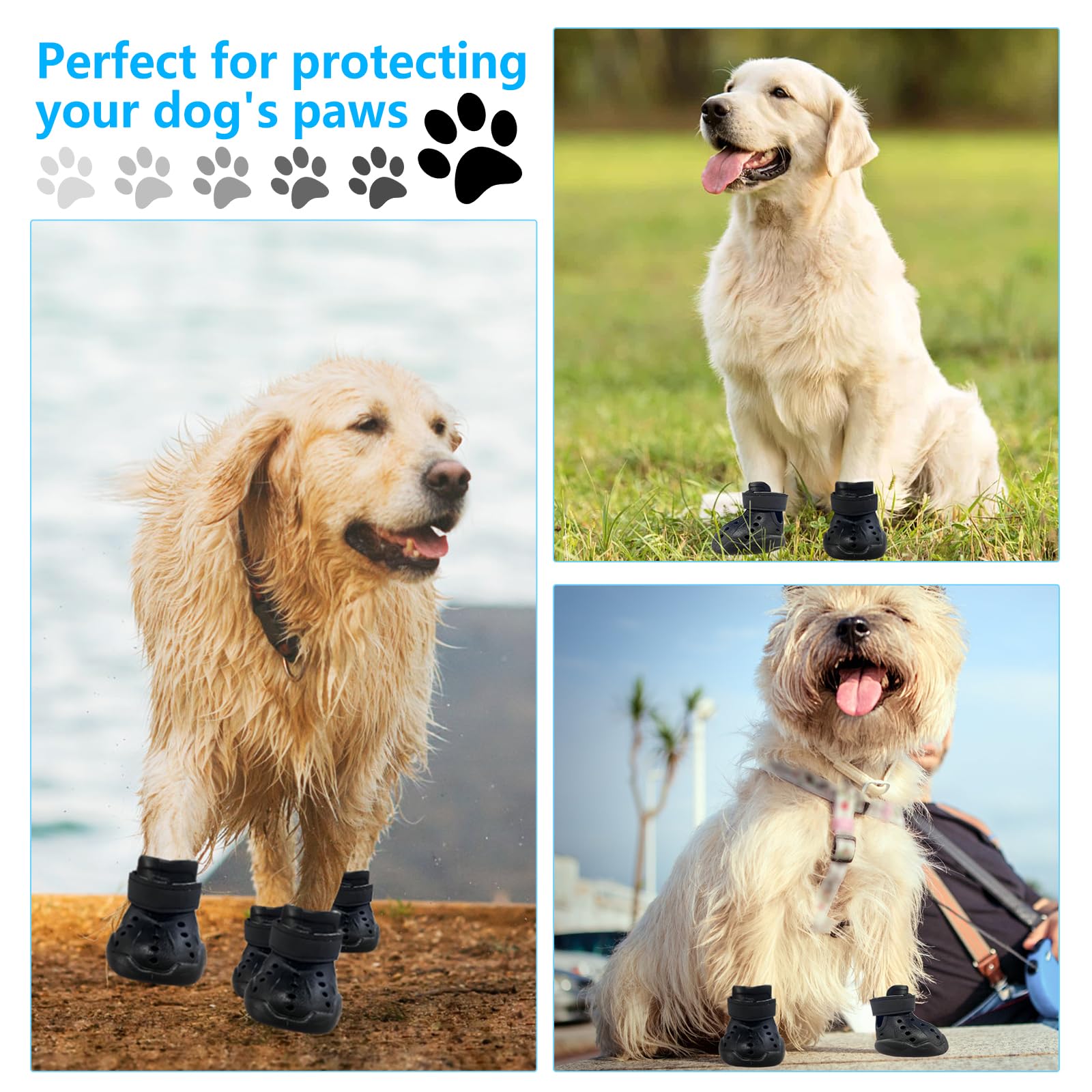 Dogoys Zapatos para Perro: diseño antideslizante para superficies mojadas.