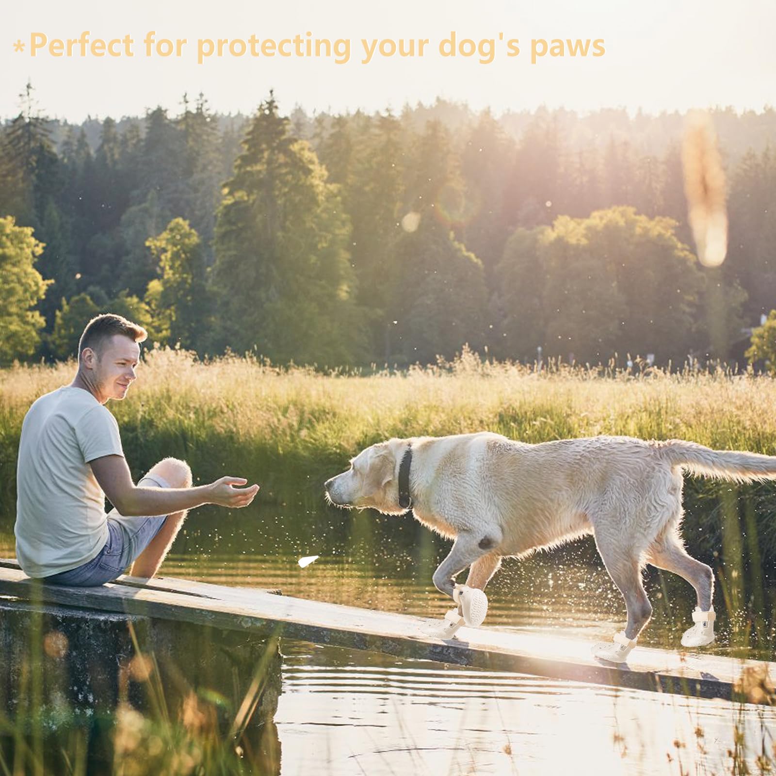 DOGOYS zapatos impermeables para perro protegen patas en lluvia.