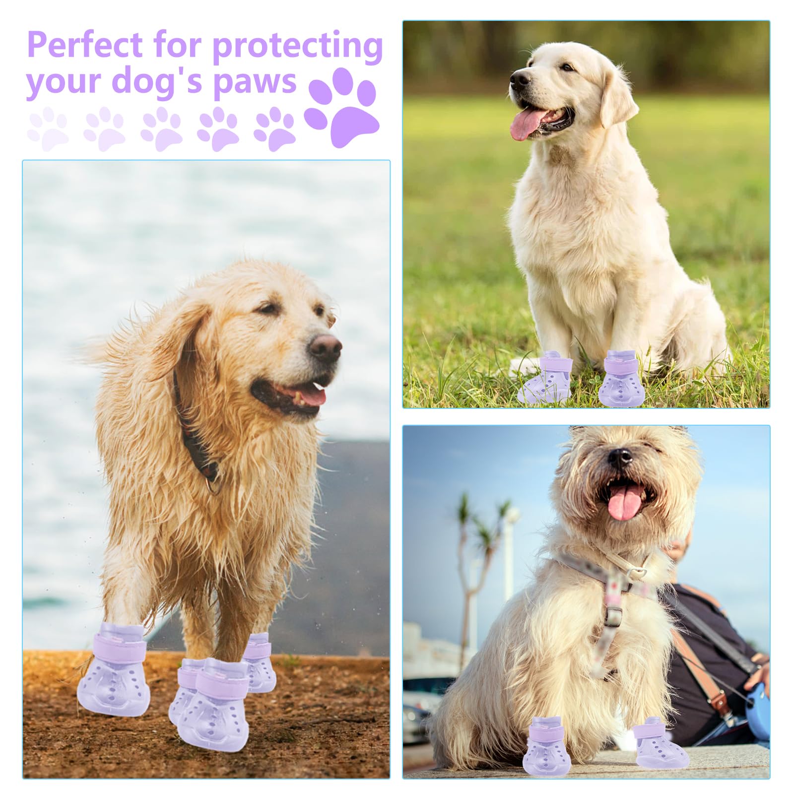DOGOYS botas impermeables para perros, ideales para paseos en lluvia o playa.