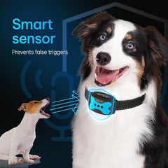 DogRook collar recargable e impermeable para uso diario