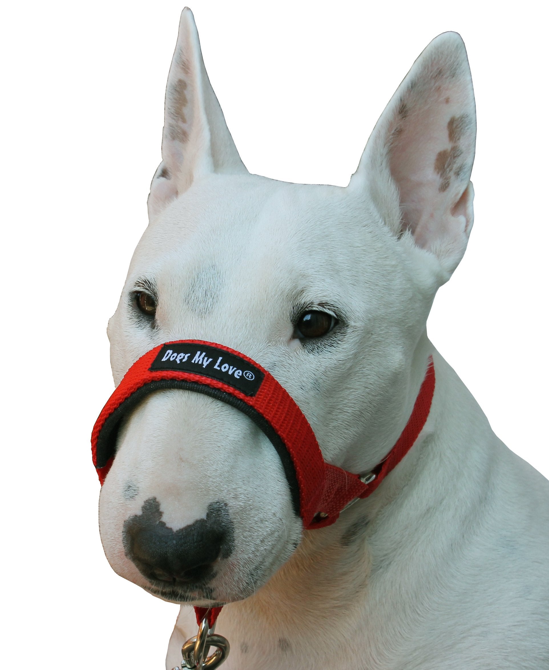 Dogs My Love collar de cabeza rojo con acción Martingale para libertad al jadear