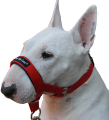 Dogs My Love collar cabeza perro rojo, vista frontal, control suave para saltos.