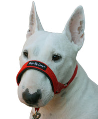 Dogs My Love collar cabeza perro rojo, uso práctico para entrenamiento y control diario.