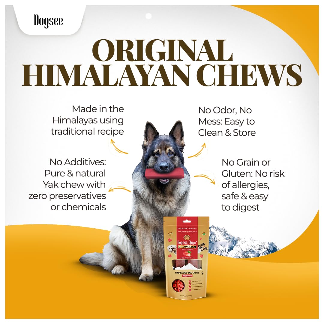 Dogsee Himalayan Yak Cheese con fresa, barra grande, textura dura para limpieza dental