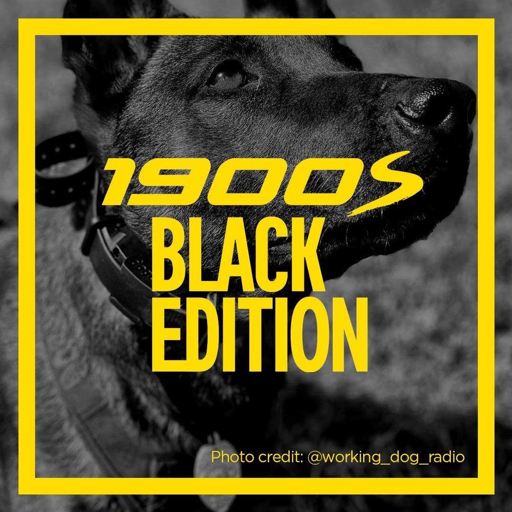 Dogtra 1900S receptor IPX9K resistente, ideal para entrenamientos al aire libre.
