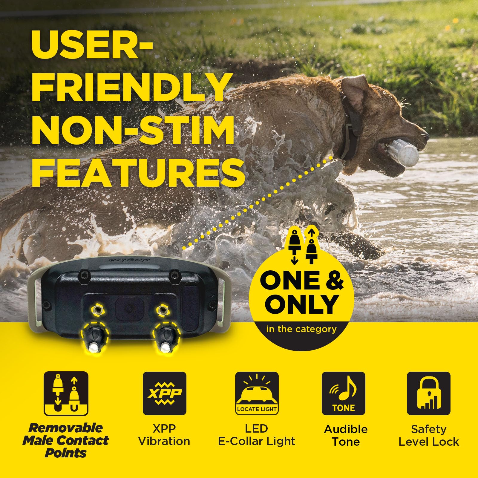 Dogtra 1900X compatibilidad para perros medianos y grandes