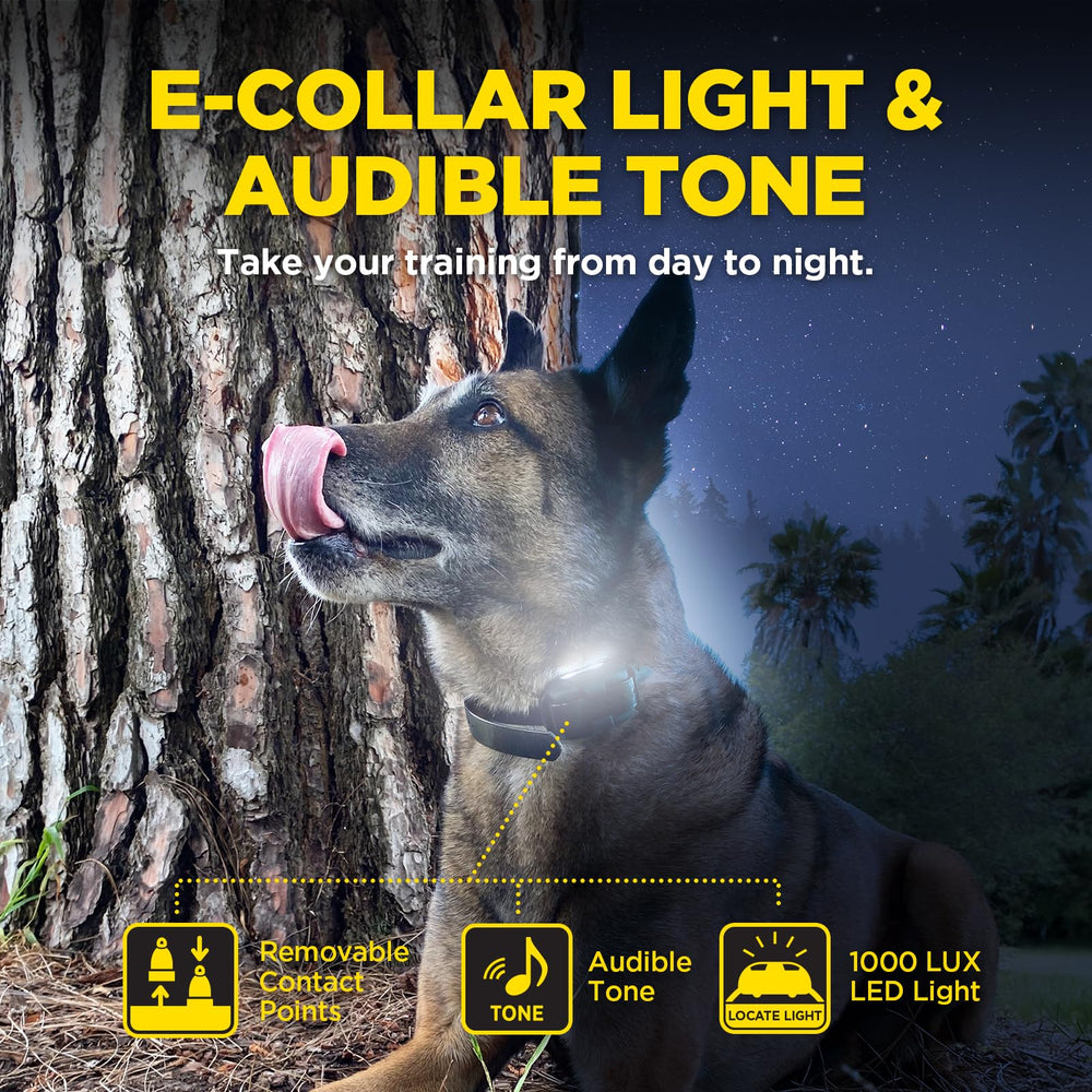 Dogtra 1900X iluminación LED para localizar al perro con claridad.