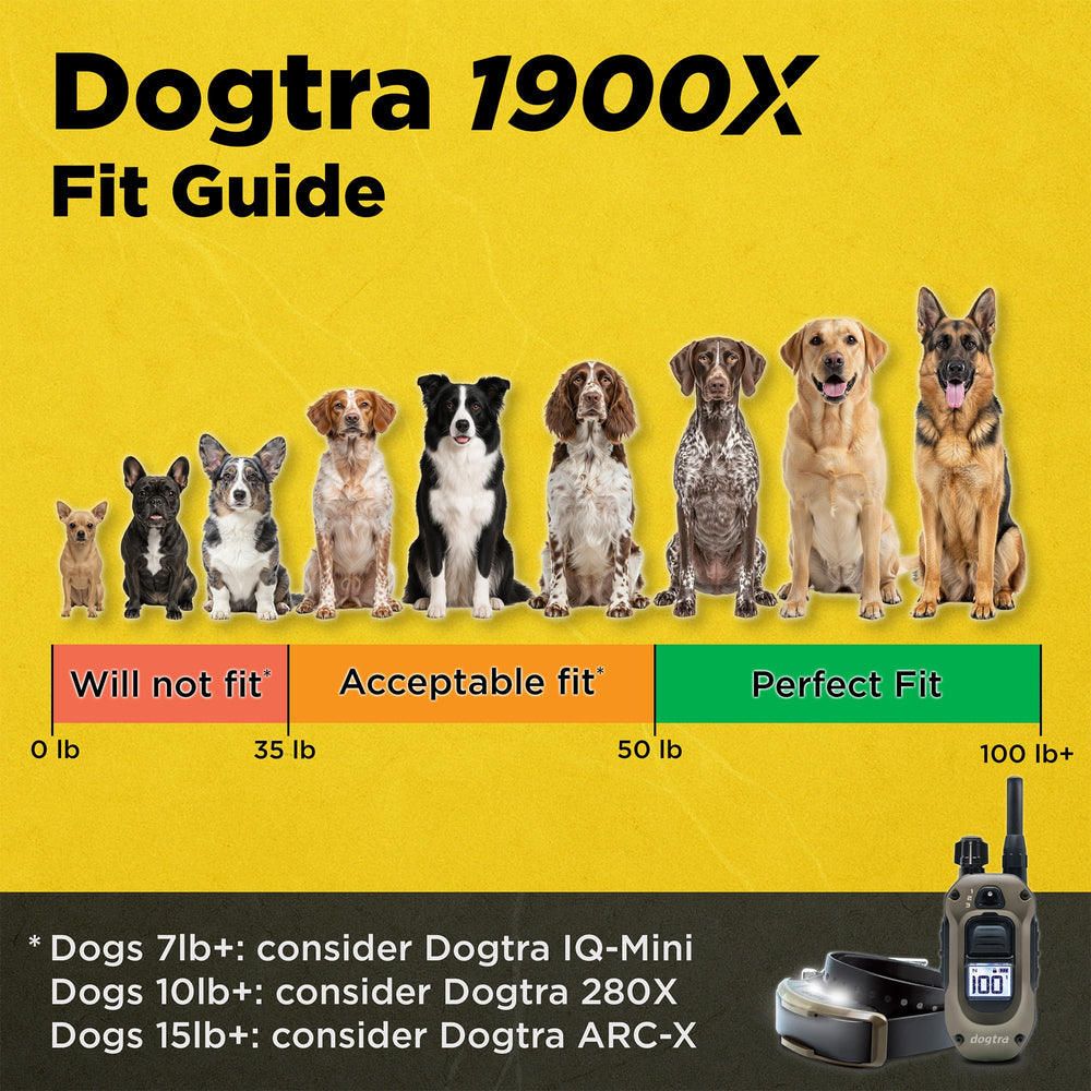 Dogtra 1900X remoto de precisión para entrenamiento consistente