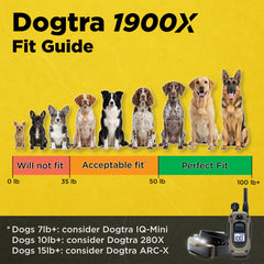 Dogtra 1900X remoto de precisión para entrenamiento consistente