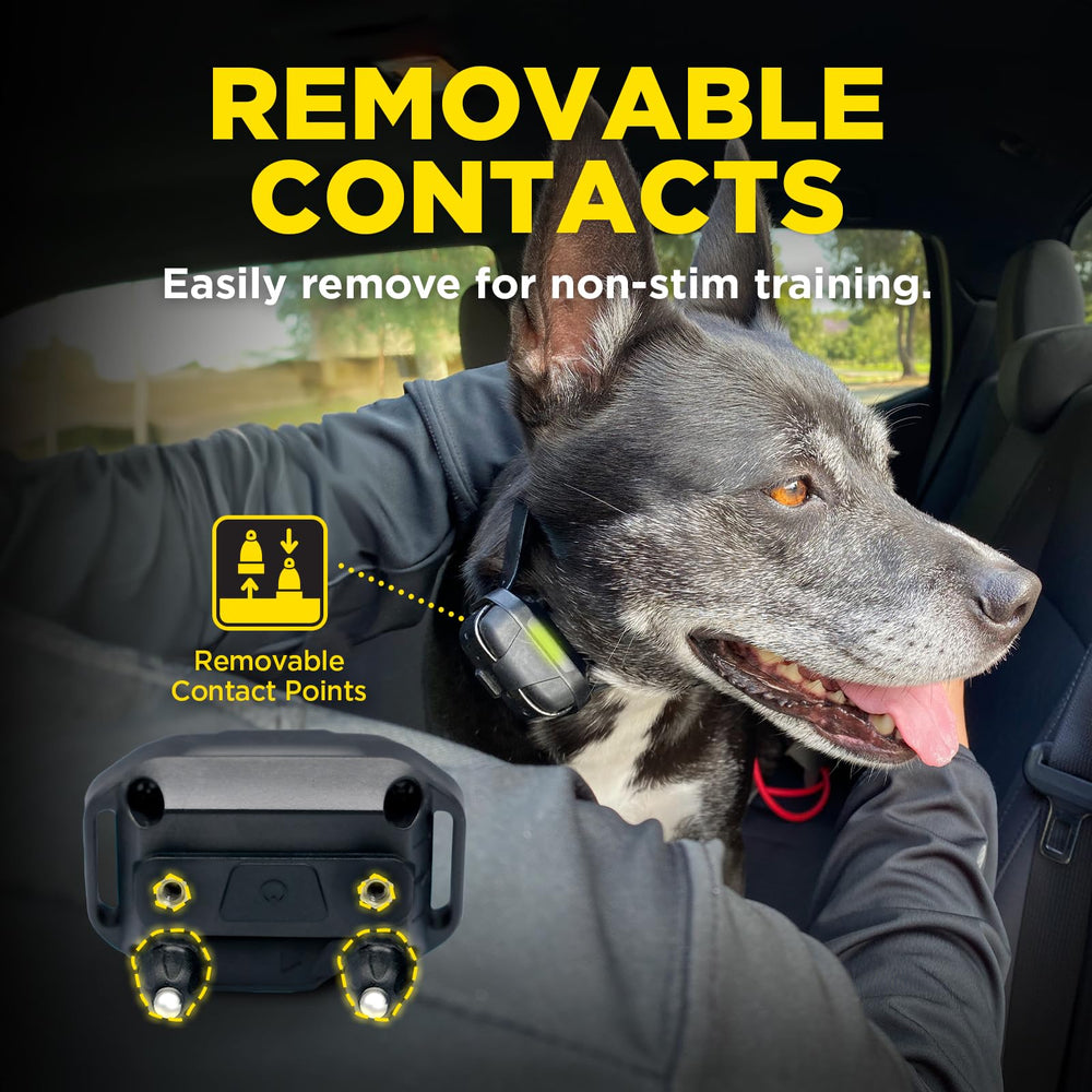 Dogtra 1900X tono audible para comunicación rápida durante el entrenamiento.