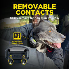 Dogtra 1900X tono audible para comunicación rápida durante el entrenamiento.
