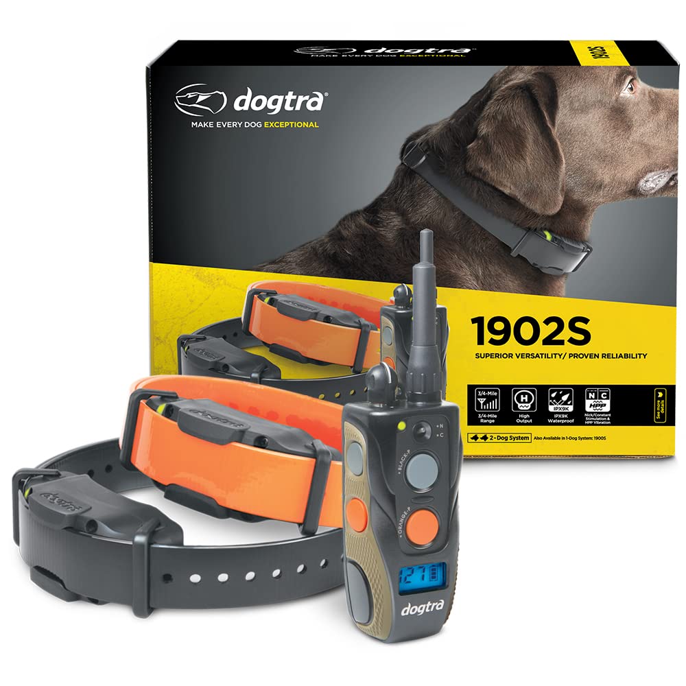 Dogtra 1902S receptor ergonómico para ajuste cómodo durante el entrenamiento