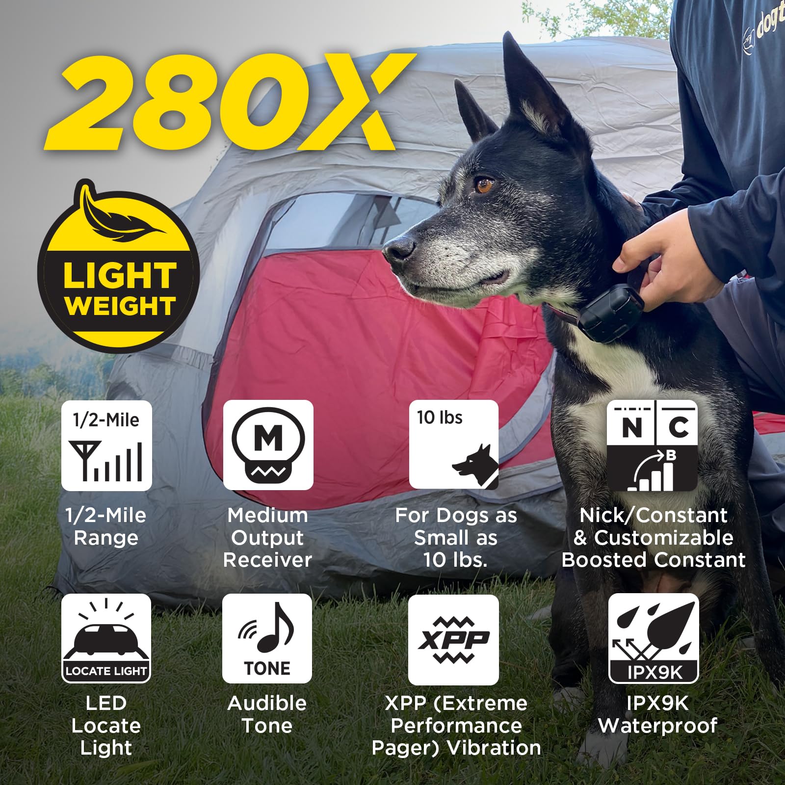 Dogtra 280X luz LED 1000 lux para entrenamiento nocturno seguro