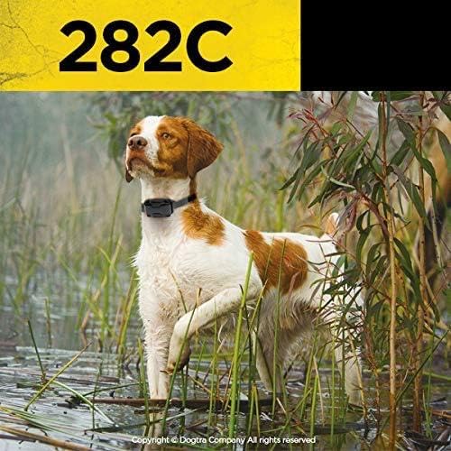 Dogtra 282C rango de media milla, adecuado para obediencia básica