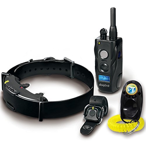 Dogtra ARC Handsfree Plus Collar para obediencia y paseos seguros
