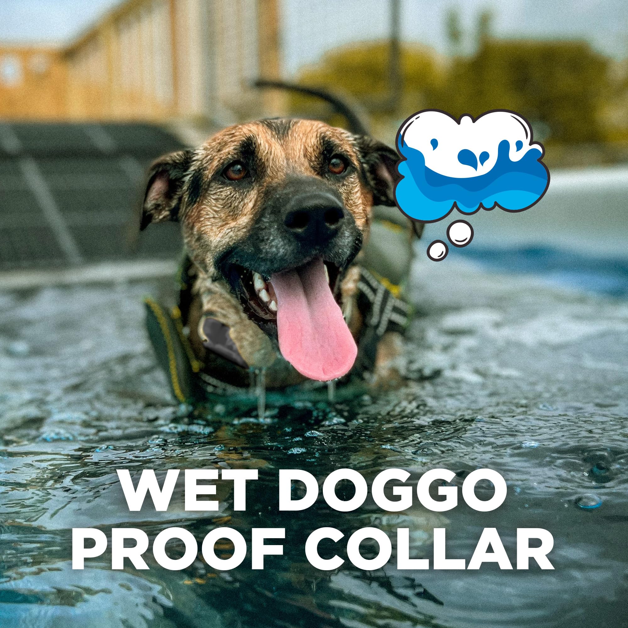 Dogtra CUE Gen 2 receptor IPX9K, resistente al agua para uso exterior.