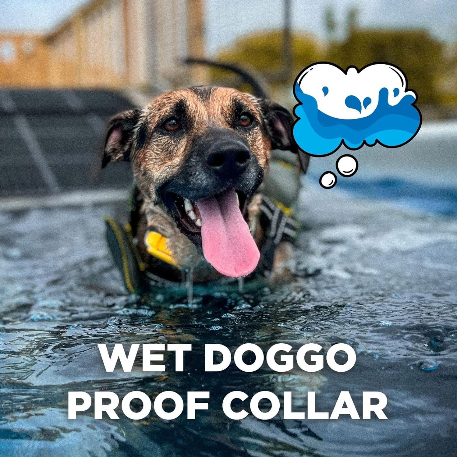 Dogtra CUE Yellow: botón Boost para refuerzos rápidos durante el paseo